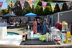 MOMENTUM - MULTI-VENDOR